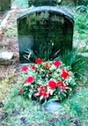 Tom Maguire grave