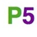 Principle 5 logo small