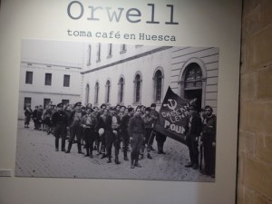 David Catalonia - Orwell cafe large